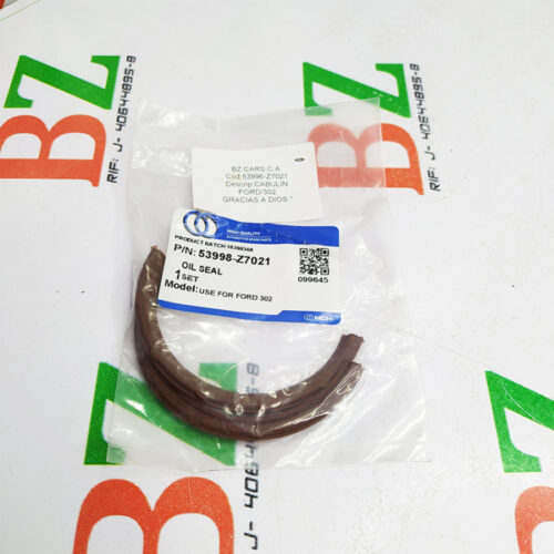 Cabulin, Ford, motor 302, marca Michigan