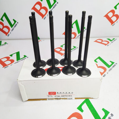 Juego de valvulas de admision Set de 8, Chery Arauca, marca Chery