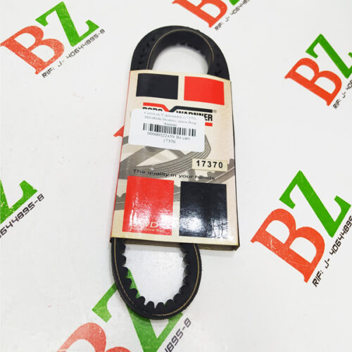 Correa en V Alternador, (17370), Mitsubishi Montero, marca Borg Warnner