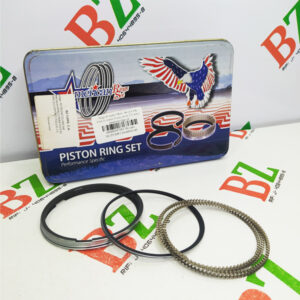 30155 SWT20 090 0.40 Juego de anillos Med 1.00 A 0.40 Ford Ecosport Focus motor 2.0 marca American rings set