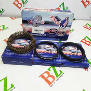 E356X 5499 0.30 Juego de anillos Med 0.75 A 0.30 Chevrolet motor 305 marca American rings set