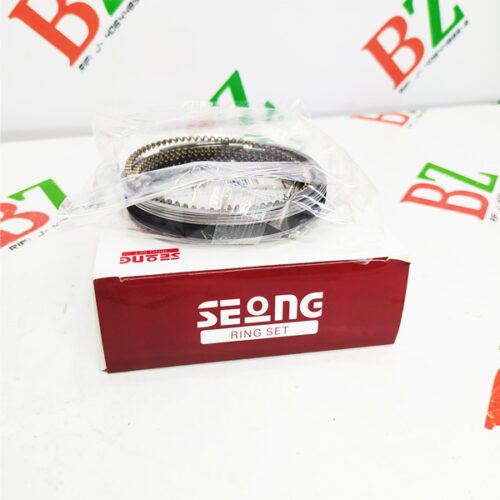 Anillos STD Rio Stylus motor 1.5