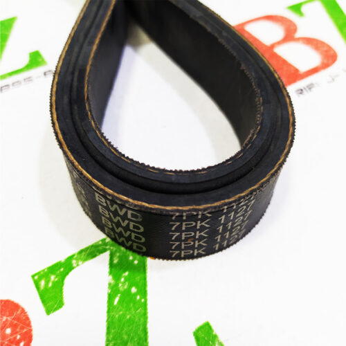 Correa multicanal (7PK1127), marca BWD