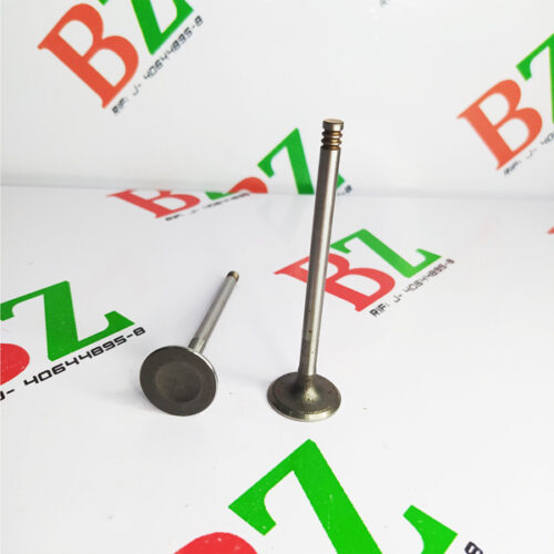 Valvula de escape, Ford Fiesta, Ka, Power, Max, Move, Ecosport, motor 1.6, marca TRW