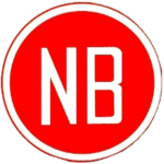 anillos motor pistones original